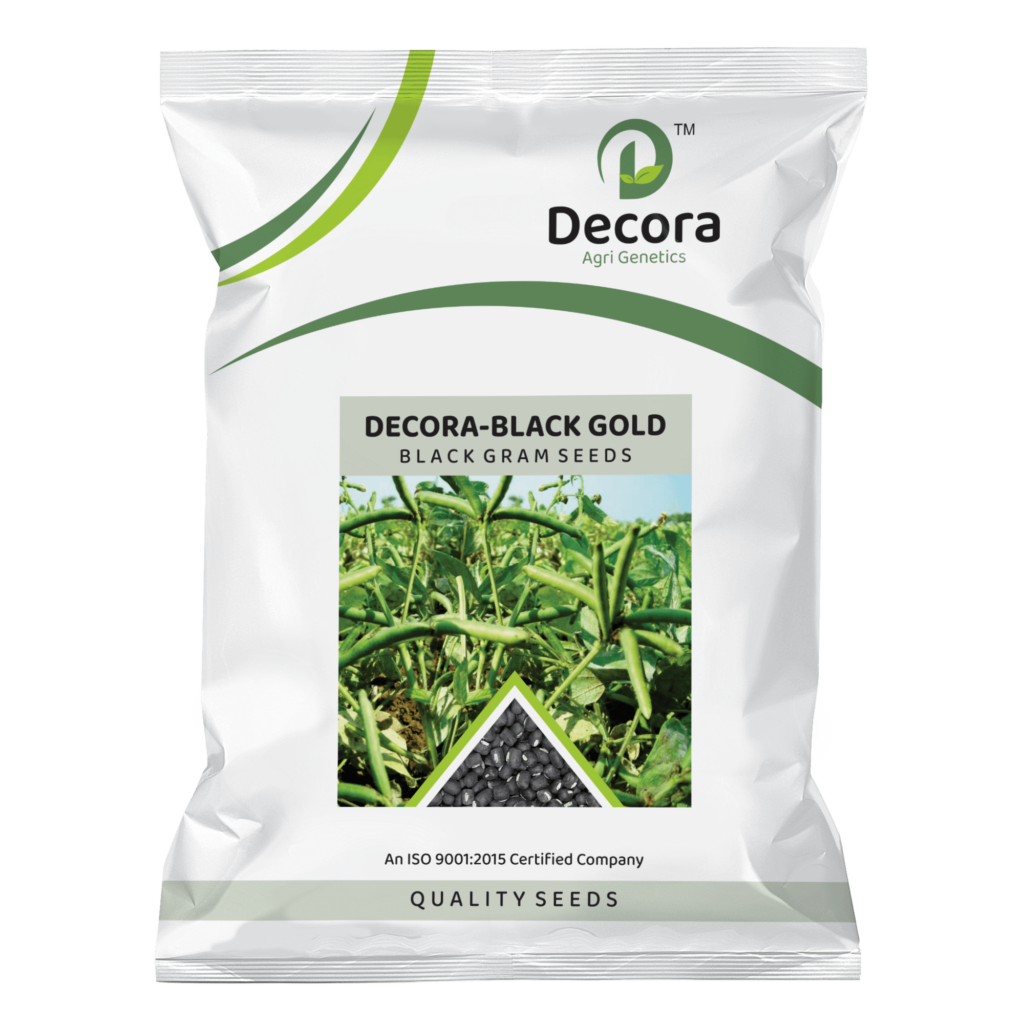 DECORA - BLACK GRAM SEED