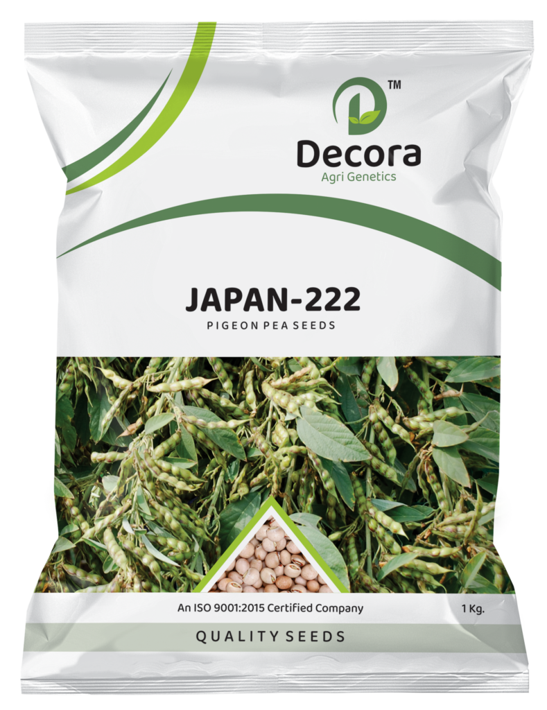 DECORA - TUVER - JAPAN 222