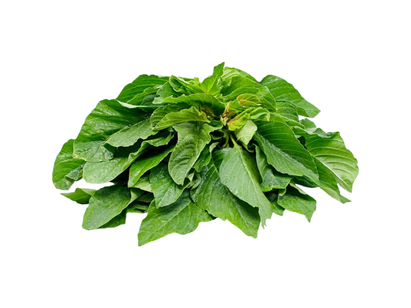 Buy Green Amaranthus Seeds Online