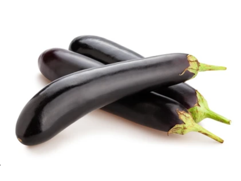 BRINJAL SEED