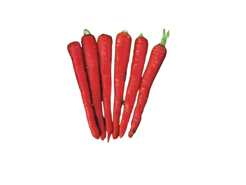 CARROT SEED