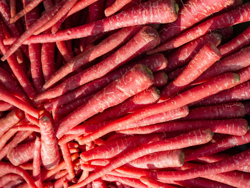 organic red carrot seeds