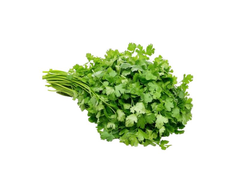 CORIANDER SEED