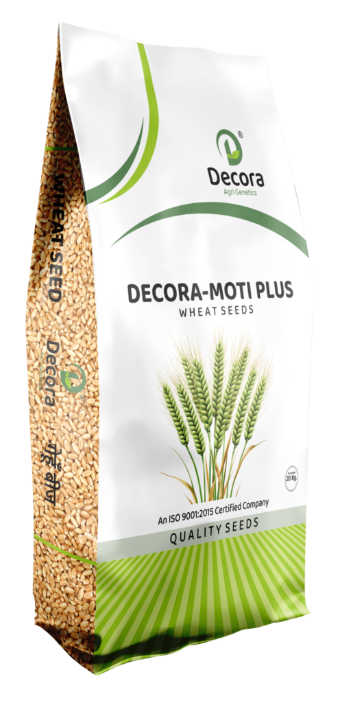 WHEAT SEED