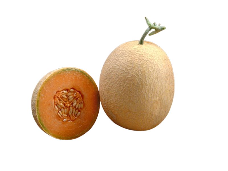 MUSK MELON SEED - DECORA ROYAL