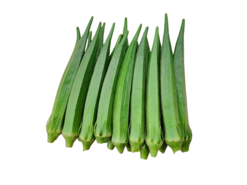 OKRA SEED