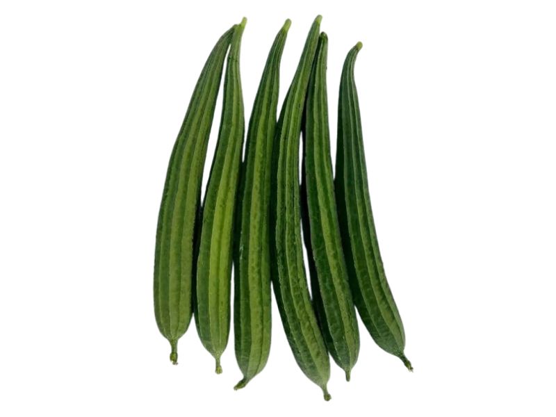 RIDGE GOURD SEED