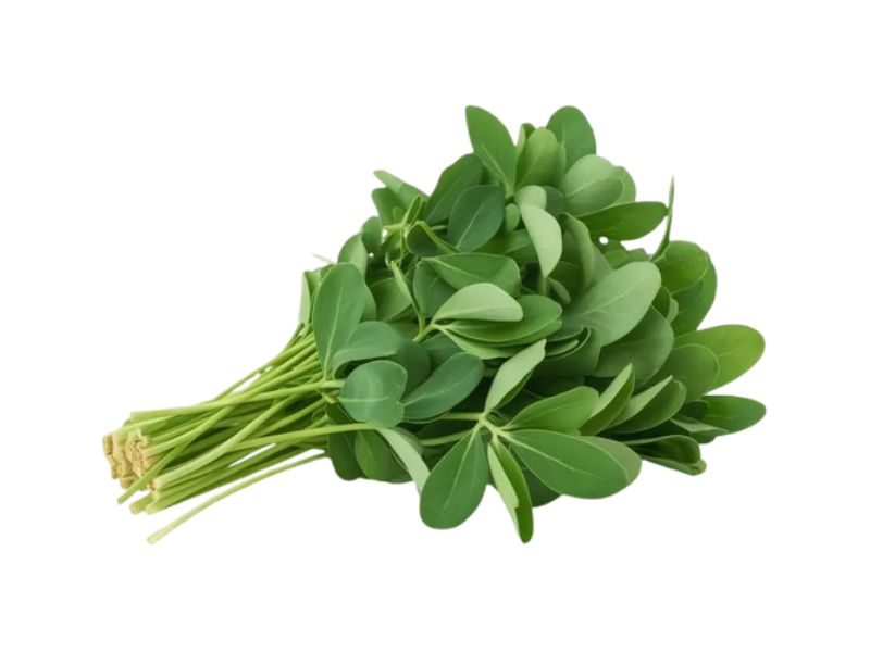 FENUGREEK SEED