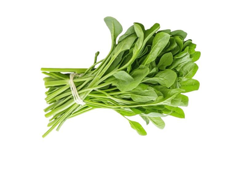 PALAK SEED