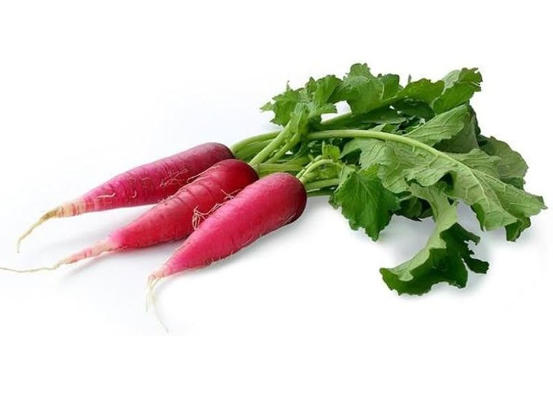 RED RADISH SEED - DECORA 505