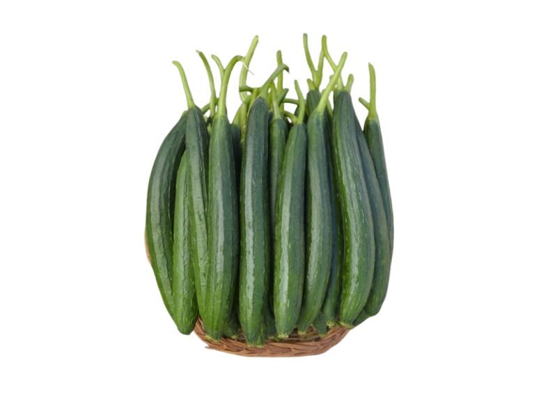 SPONGE GOURD SEED