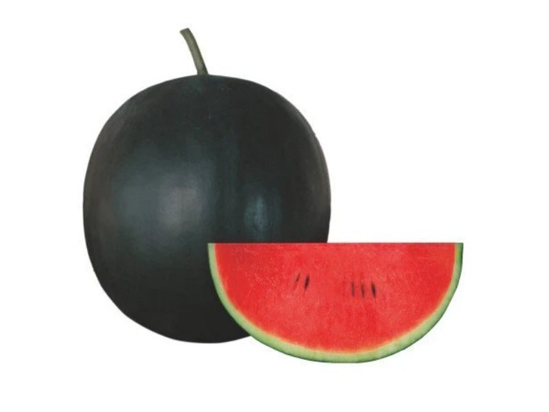 WATERMELON SUGARBABY 800X600