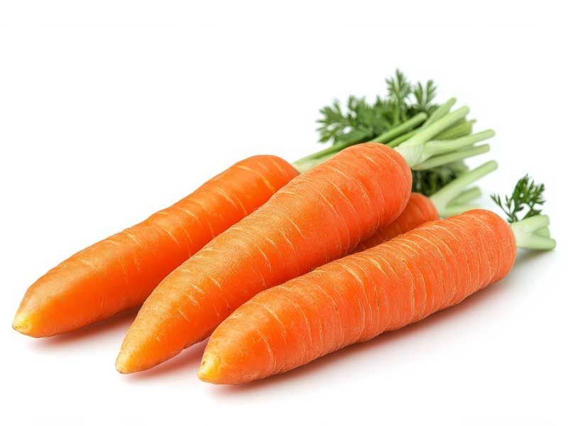 carrot kuroda