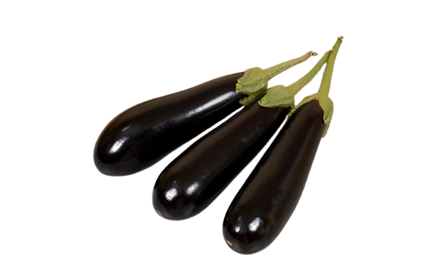 black eggplant seed